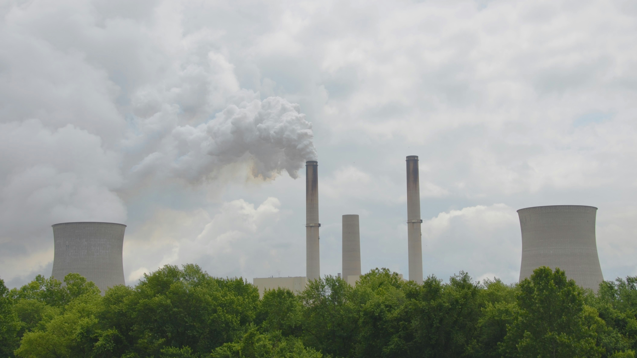 Building Nigeria’s Carbon Backbone: Why a Credible Registry Matters More Than Hype
